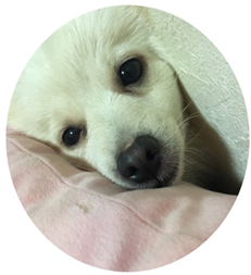 �M�̏�ɒu���Ă��錢�̊�

�����x�̐��x�Ŏ����I�ɐ������ꂽ����