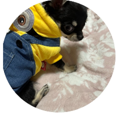 �L�̂ʂ������

�����x�̐��x�Ŏ����I�ɐ������ꂽ����